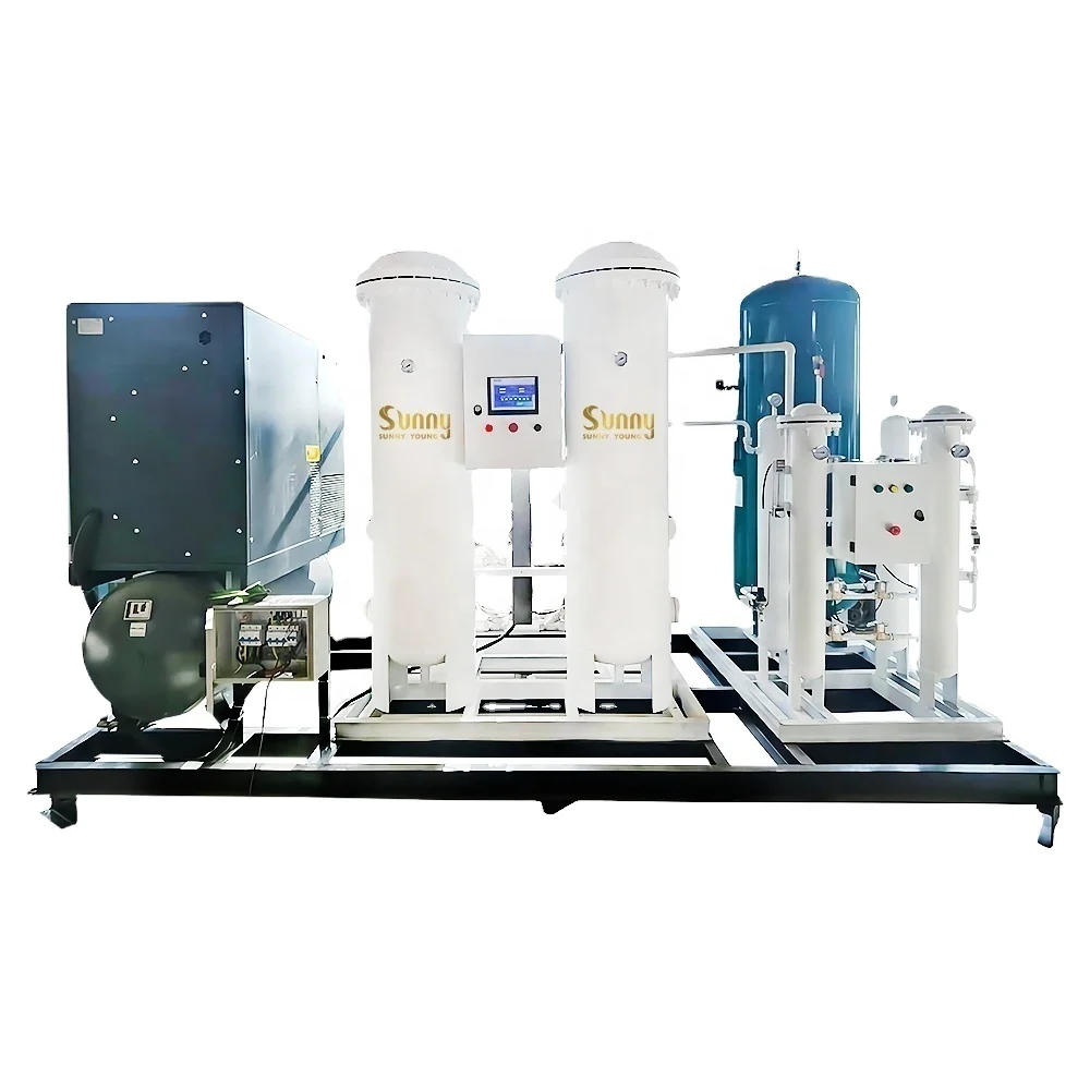 oxygen generator filling station cylinders hi-quality Containerized 99.5% purity 20 Nm3/h oxygen psa generator oxygen machine