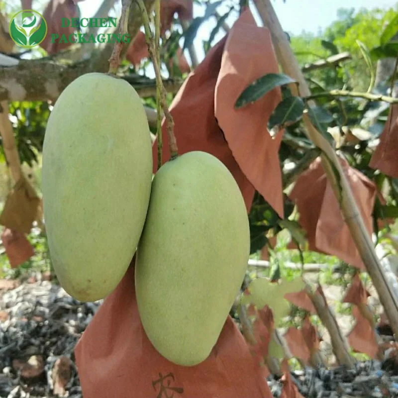 ¿¿ cuál es la importancia de las bolsas de frutas?