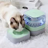 Green-Water bowl