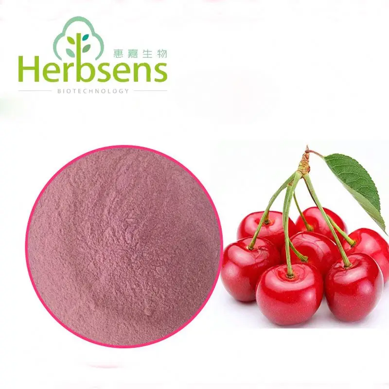 Organic Acerola Cherry Extract Powder view 3
