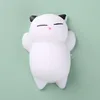 Gato blanco de orejas negras