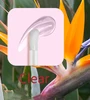 clear