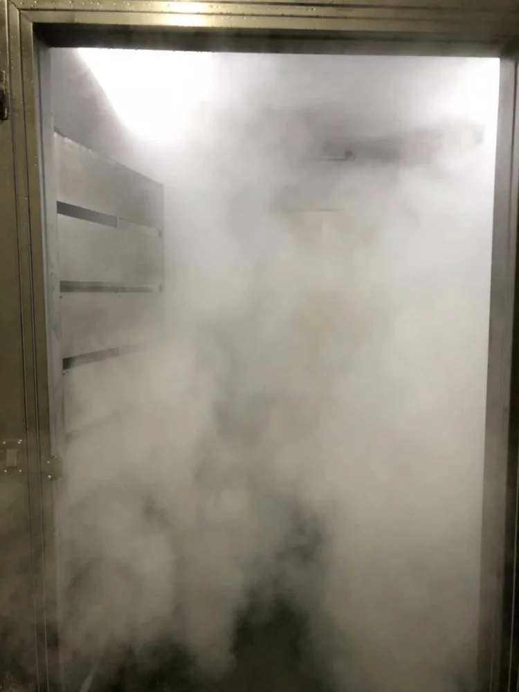 Customized Industrial High Humidity Low Temperature Thawing Machine for Core Meat Processing Lines