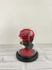 dark Red(10*16cm)
