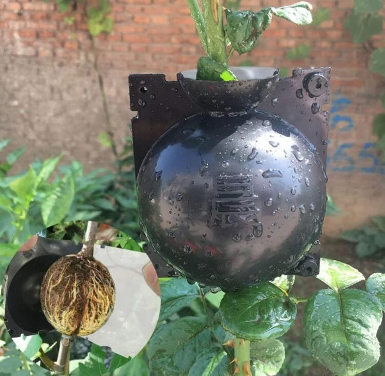 Vaso Per Piante Da Esterno Alto - Foto 9