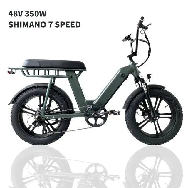 Rear wheel 48V 350W fat tyre cycle bicicleta ruta para hombre electric cycles ebike 20 inch bikes for men adults bicycle