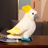 A1