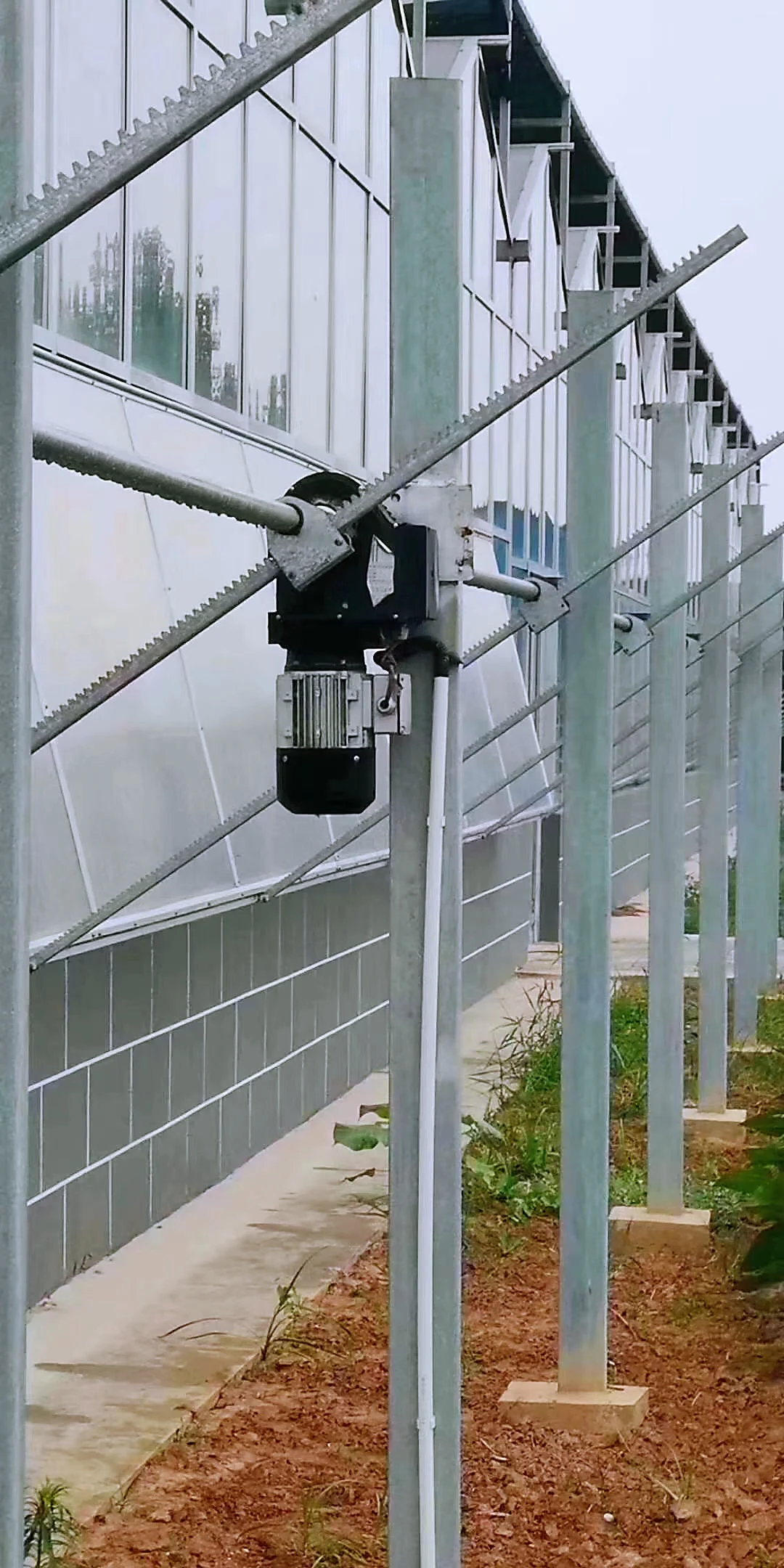 Хит продаж Hangmei, сельскохозяйственная Коммерческая теплица, многопролетная теплица, томатная гидропонная теплица