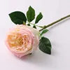 ชมพูอ่อน