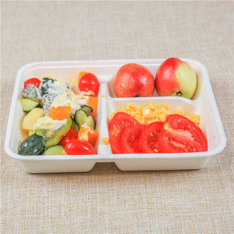 Biodegradable disposable food clamshell/3 5 compartments food box/tray