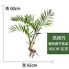 New Phoenix Tail Bamboo