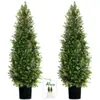 Cedar Topiary Trees - 2 Pack 4ft