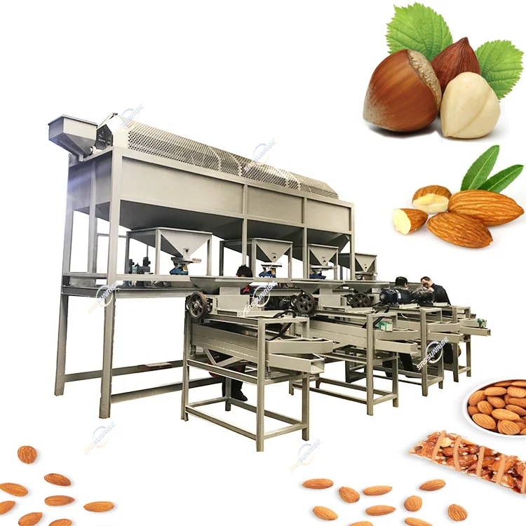 Manufacturer Equipment 300kg 500kg 1000kg Automatic Palm Apricot Kernel Hazelnut Almond Processing Production Line