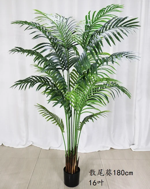 forest star snake plant Starfish' Snake Plant main image 1