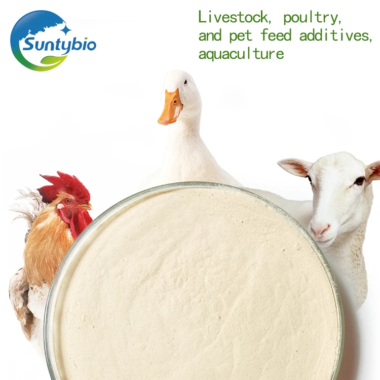 Animal Feed Grade Probiotics Enterococcus Faecium Powder Additives in China