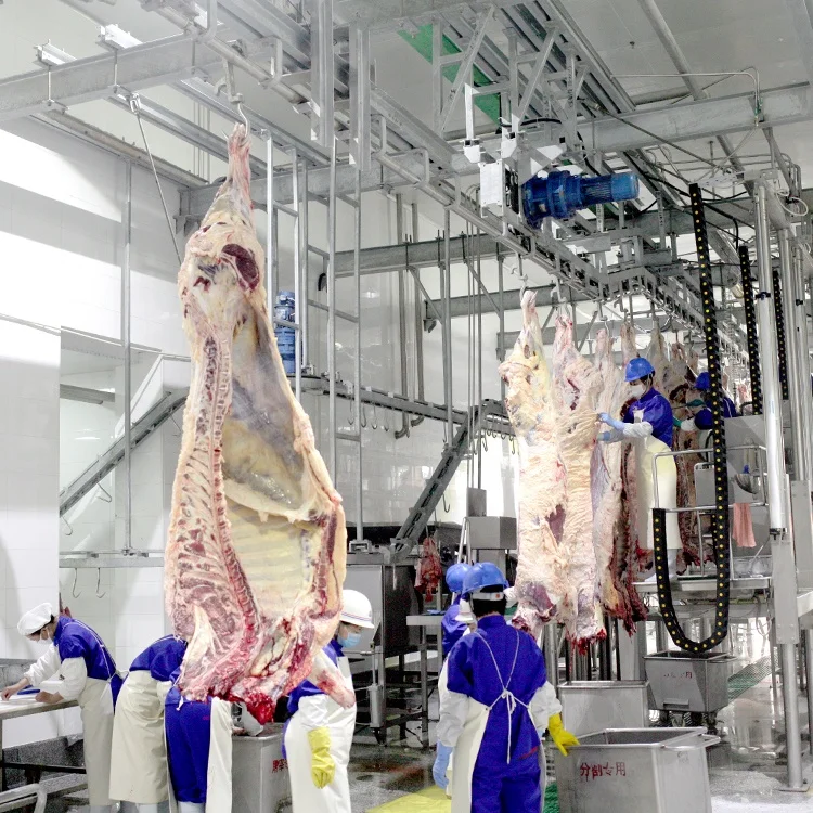 Beef automatic slaughterhouse processing equipment