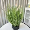 Green 50cm Pink Head