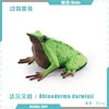 colorful PL127-2758 Darwin Frog 21g