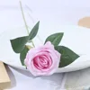 สีชมพู