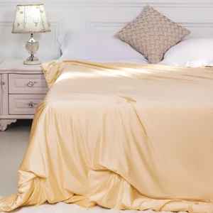 Wholesale Custom Washable Weighted Cooling Duvet Hebei Blankets for Summer Home Use