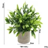 Maple leaf without powder ahe373-069