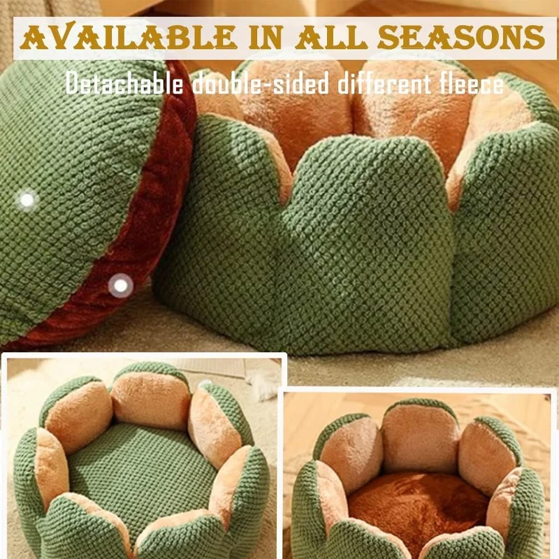 H4f02584f32ac4b5998e863e7e687eff4P