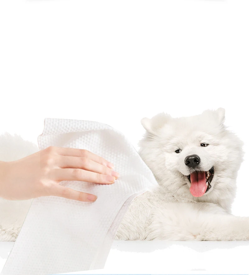 Custom Brand Pet Cleaning Wet Wipes Fragrancefree 80 Count Wet Once