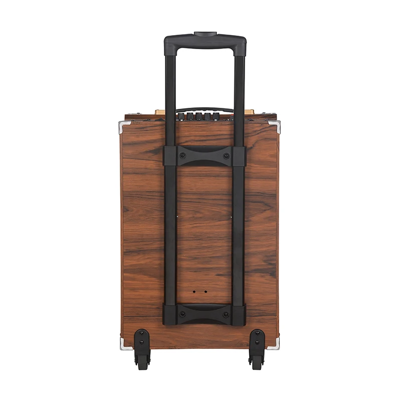BAAB-Q8 8 Inch Mini Portable Karaoke Subwoofer Wireless Trolley Speaker with Powerful Bass and Microphone Trolley TWS  BOX AUDIO