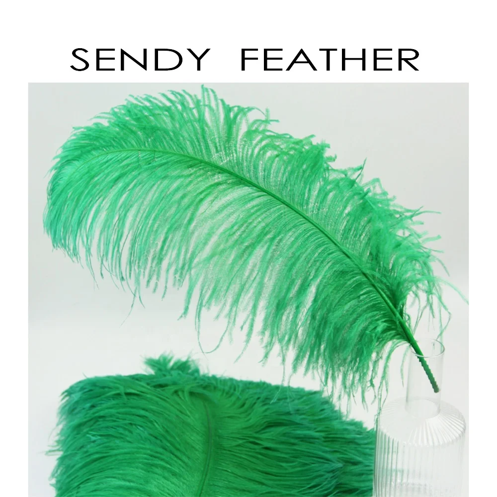 卸売フェザーサプライヤーパーティーフェザー染め人工ダチョウ羽