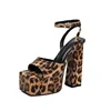 leopard