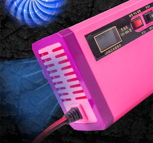 Lead Acid Battery Charger 12v 10a 24v 10a 8a 12a 20a 25a Electric