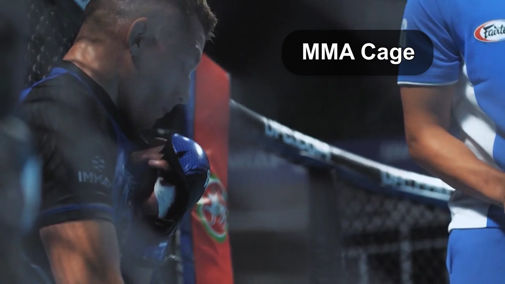 Martial Arts Mma Ufc Octagon Cage Custom Design High Quality Factory