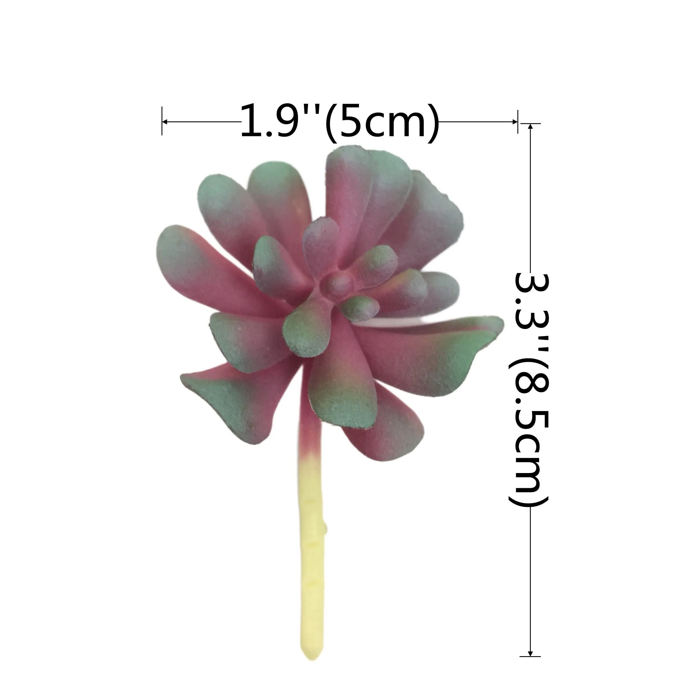 批发人造植物多肉植物花园装饰塑料植物花椰菜多汁 Buy 多肉植物 极简主义家居装饰 小artficial植物product On Alibaba Com