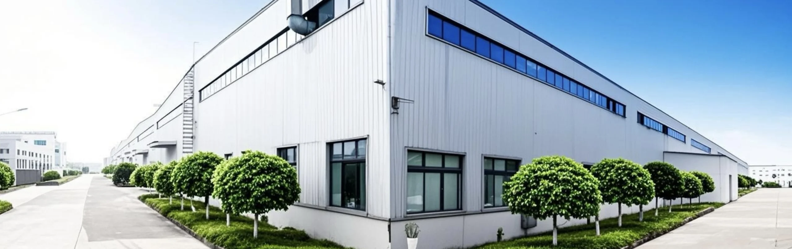 Chongqing DY Motorcycle Co., Ltd. 1