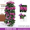 Rose Wall Hanging - Purple