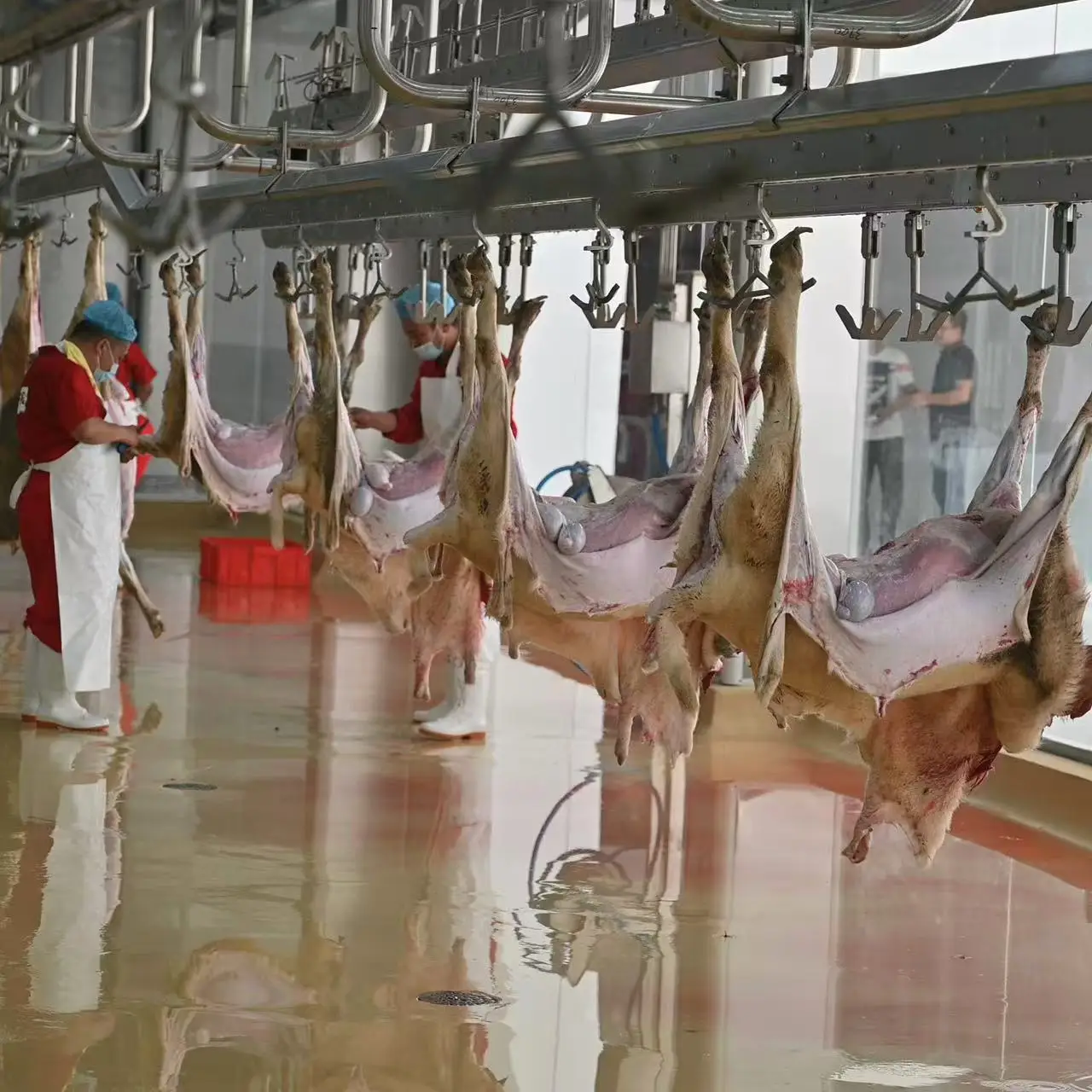 Advanced fully automatic sheep slaughtering production line equipment, steel slaughterhouse equipment for halal meat processing