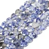 Blue Spot Jasper