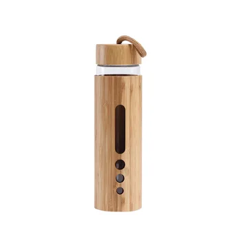 Wholesale Simple modern style Bamboo shell heat resistant high borosilicate glass with bamboo handle cover glass water bottle