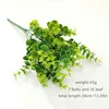 Olive-green Eucalyptus
