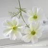3 teste di fiori di gansang di pellicola