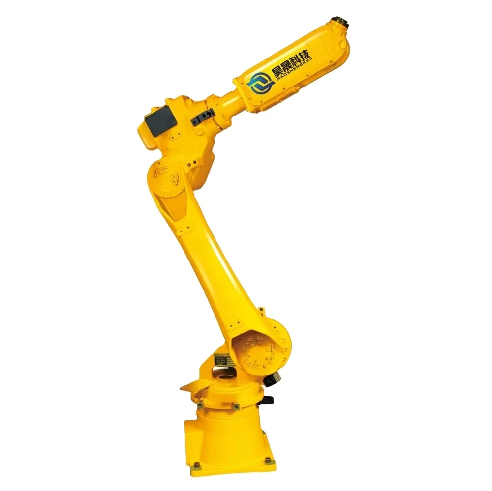 Industrial Automatic Robot Arm 6 Axis Paint Spray Robot for Electrostatic Spraying