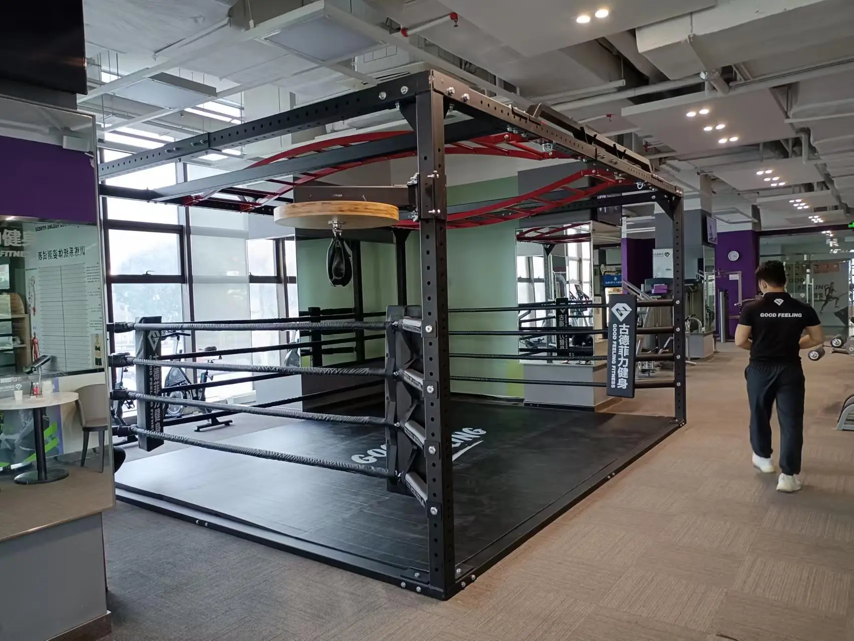 Professional Boxing Training Equipment Mini Ring 4x4