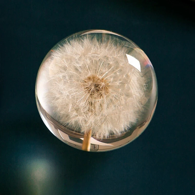Resin Dandelion Flower Snow Globes Handmade Polyresin Water Globes