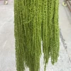 verde alloro