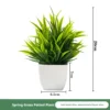 Herbe de printemps en pot