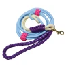 สีม่วง