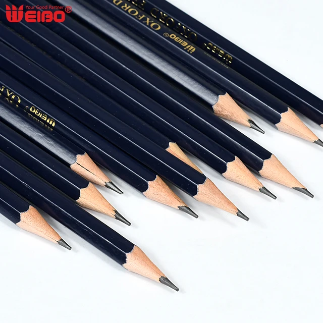 12PCS Drawing Pencil Set Professional Art Sketching Pencils Tool