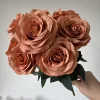 caramel