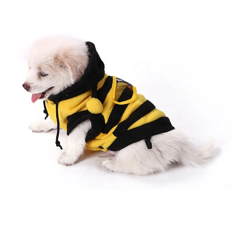 dog bee costume