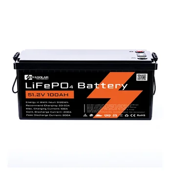Best Sale 51.2V 100Ah LiFePO4 Deep Cycle Lithium Battery Pack with BMS for RV Boat Solar Systems Factory Price